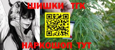 сатива Аргун