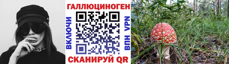 Галлюциногенные грибы мухоморы  omg онион  Рассказово 