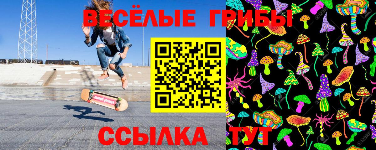 Псилоцибиновые грибы Cubensis Рассказово