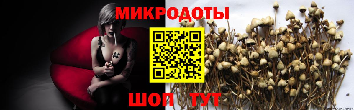 КОКАИН  Рассказово  Каннабис  МЕФ  Вход с VPN  Каннабис  Хэш 