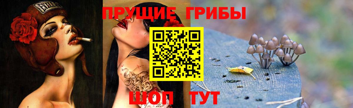 Псилоцибиновые грибы Psilocybine cubensis Рассказово