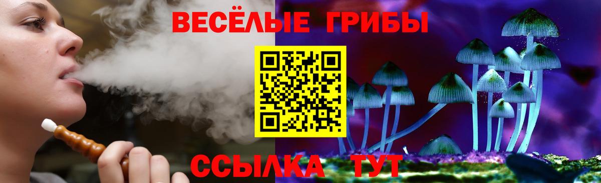 Рассказово  Псилоцибиновые грибы MAGIC MUSHROOMS  Вход с VPN 